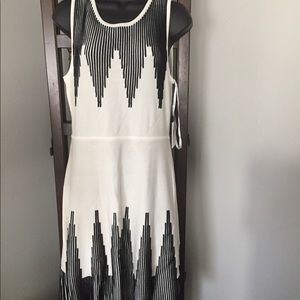 BlkWht Calvin Klein Sweater Dress